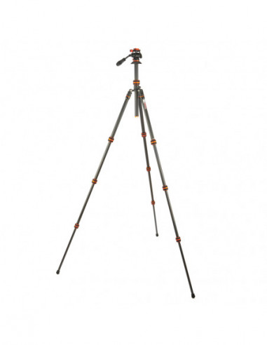 Punks Billy 2.0 with Airhed Trinity...