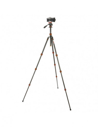 Punks Billy 2.0 with Airhed Trinity...