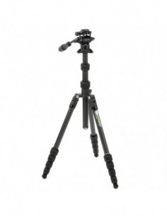 Punks Brian 2.0 with Airhed...