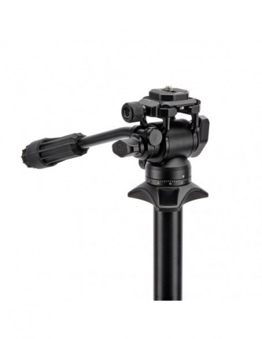 Punks Brian 2.0 with Airhed Trinity...