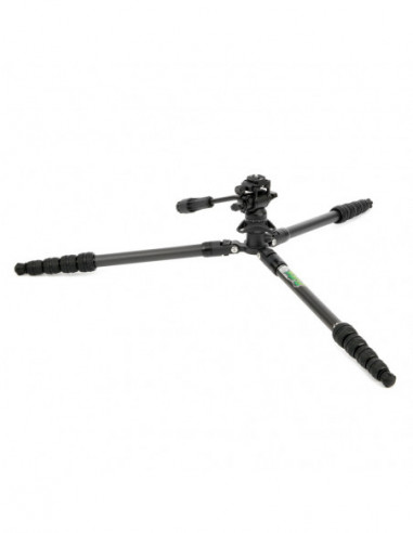 Punks Brian 2.0 with Airhed Trinity...