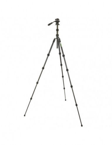 Punks Brian 2.0 with Airhed Trinity...