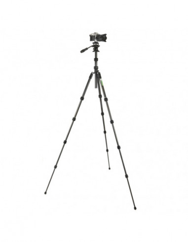 Punks Brian 2.0 with Airhed Trinity...