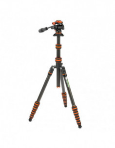 Punks Brian 2.0 with Airhed...