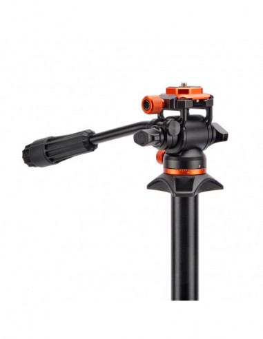 Punks Brian 2.0 with Airhed Trinity...