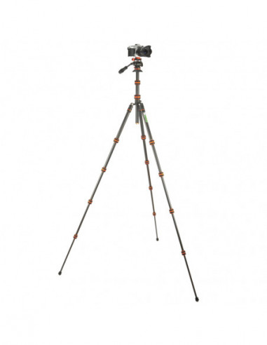 Punks Brian 2.0 with Airhed Trinity...