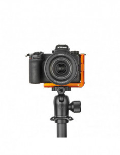 ZELDA QD Compatible... 2