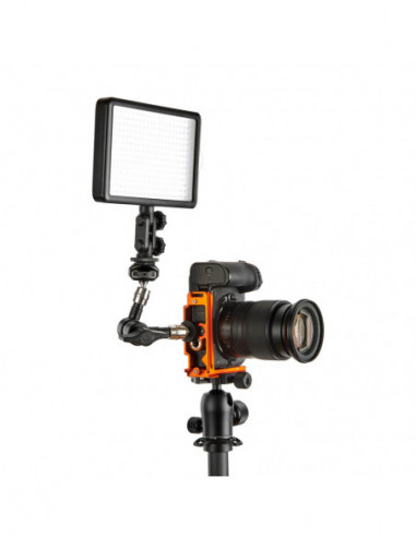 ZELDA QD Compatible Dedicated L...