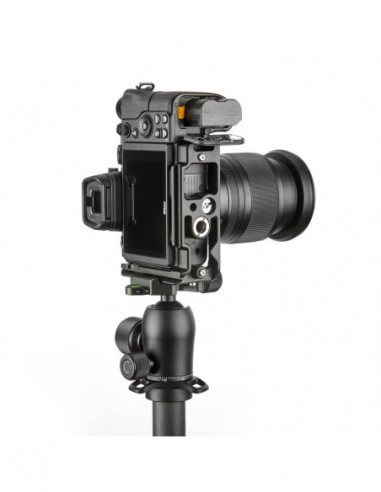 ZELDA QD Compatible Dedicated L...