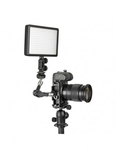 ZELDA QD Compatible Dedicated L...