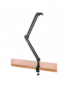 Annie Professional Studio...