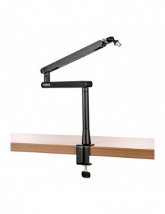 Steve Professional...