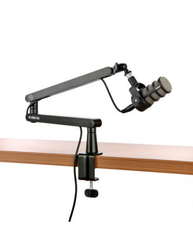 Steve Professional Livestream &...