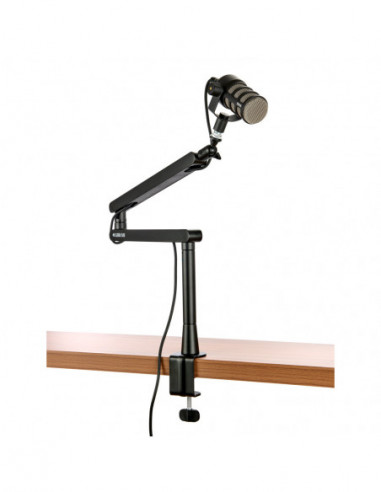 Steve Professional Livestream &...