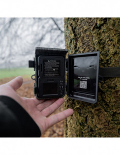 Wildcamera Raccoon Solar 4K 2