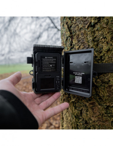 Wildcamera Raccoon Solar 4K