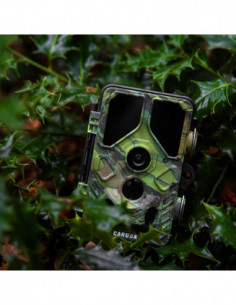 Wildcamera Toad Full HD