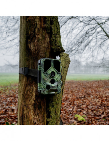 Wildcamera Toad Full HD