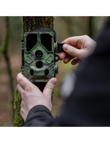 Wildcamera Toad Full HD