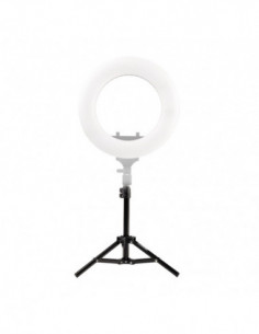 Lampstatief LS 50 50cm 2