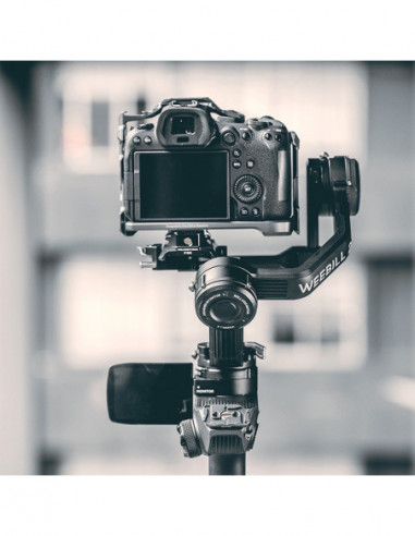 F38 ZHIYUN Weebill  S /Carne2S Quick...