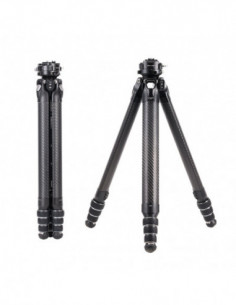 TreeRoot Quick Lock Travel...