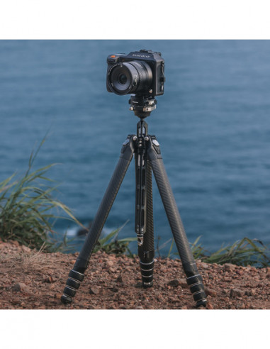 TreeRoot Quick Lock Travel Tripod