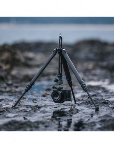TreeRoot Quick Lock Travel Tripod (...