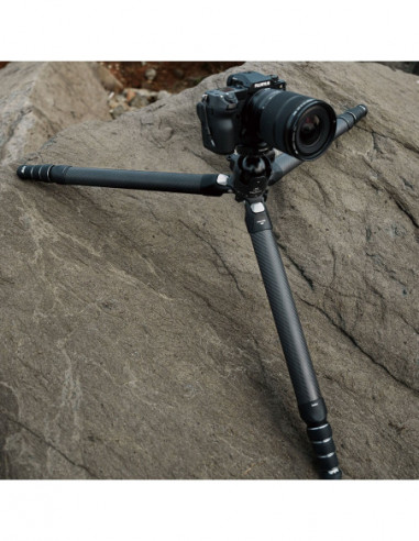 TreeRoot Quick Lock Pro Tripod T00A4901