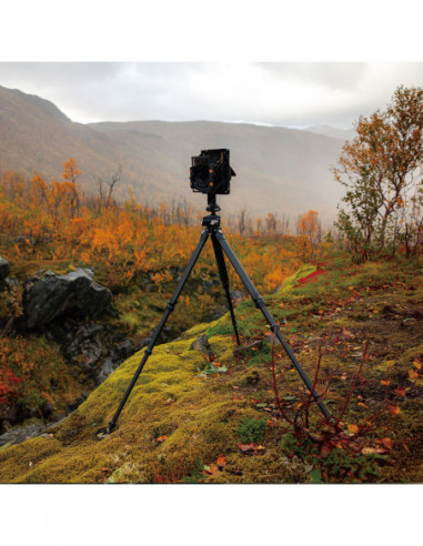 TreeRoot Quick Lock Pro Tripod T00A4901