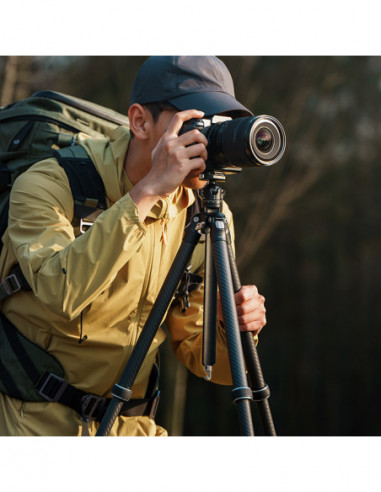 TreeRoot Quick Lock Lite Tripod T00A4903