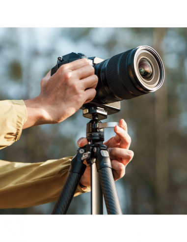 TreeRoot Quick Lock Lite Tripod T00A4903