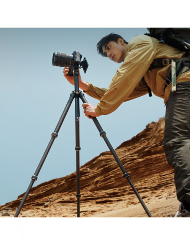 TreeRoot Quick Lock Lite Tripod T00A4903