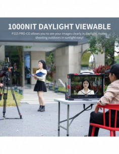 SEETEC P215 Pro Co (in...