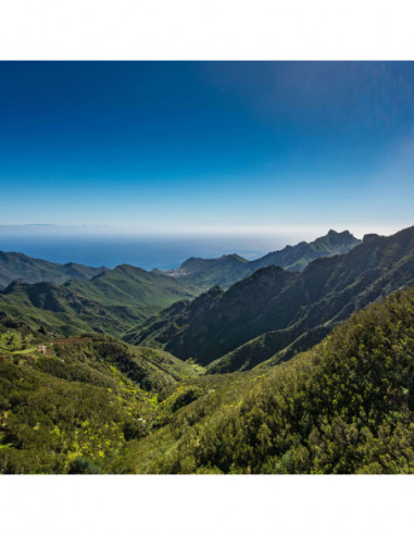 Revo UV Protect 43mm