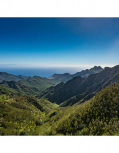 Revo UV Protect 58mm 2