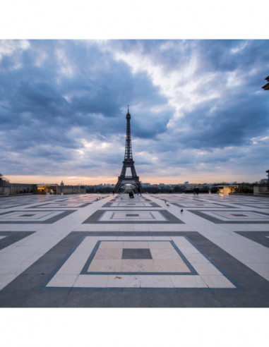 15mm f/2 Zero D Sony FE