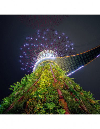 14mm f/4 Zero D DSLR Canon EF