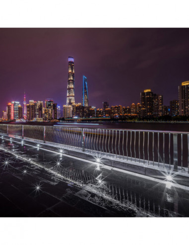 14mm f/4 FF RL Zero D L mount