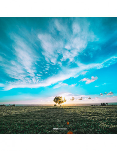 9mm f/5.6 FF RL Silver Leica M