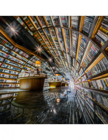 9mm f/5.6 FF RL L mount