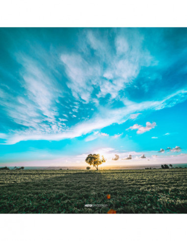 9mm f/5.6 FF RL L mount