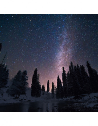 9mm f/2.8 Zero D MFT