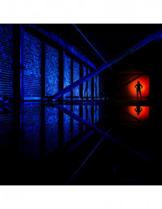 Magmod Beauty Dish XL 20 2