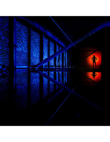 Magmod Beauty Dish XL 20