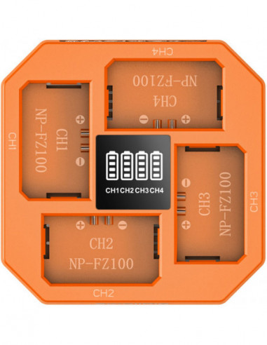 4839 NP FZ100 4 Channel Camera...