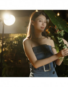 4626 RC 220D Pro COB LED... 2