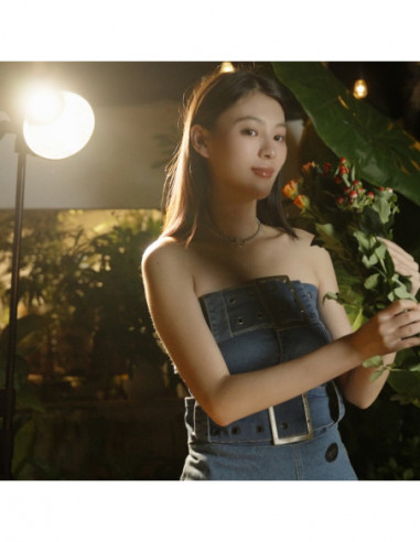 4626 RC 220D Pro COB LED Video Light...