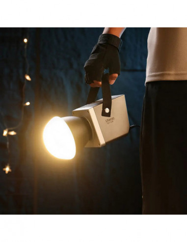 LT005 60W Bi Color COB Light