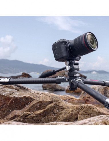 TT09 VideoGo Tripod Arca